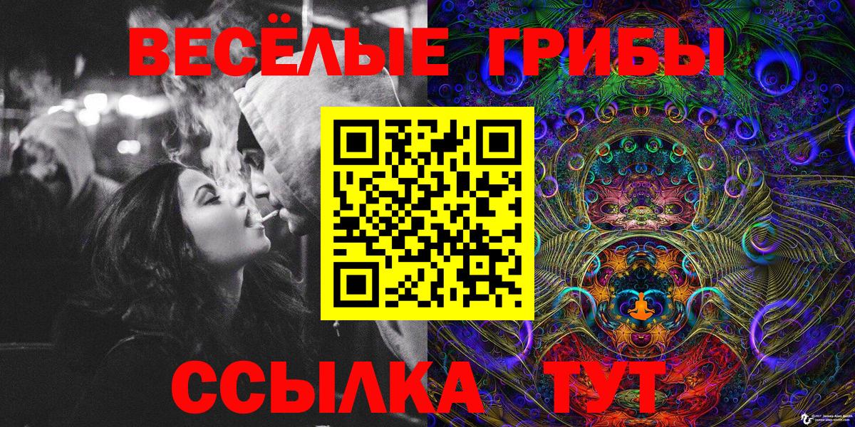 Галлюциногенные грибы ЛСД Луга