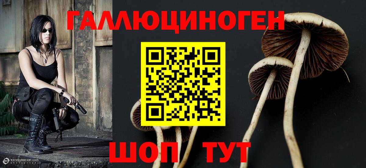 Луга  Псилоцибиновые грибы мицелий  Псилоцибиновые грибы ЛСД  Вход с VPN 
